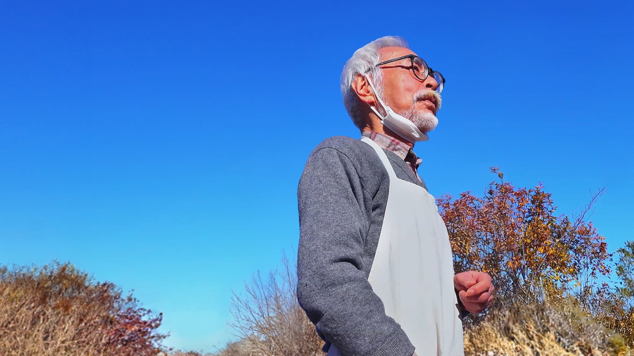 Hayao Miyazaki e l'airone - immagine