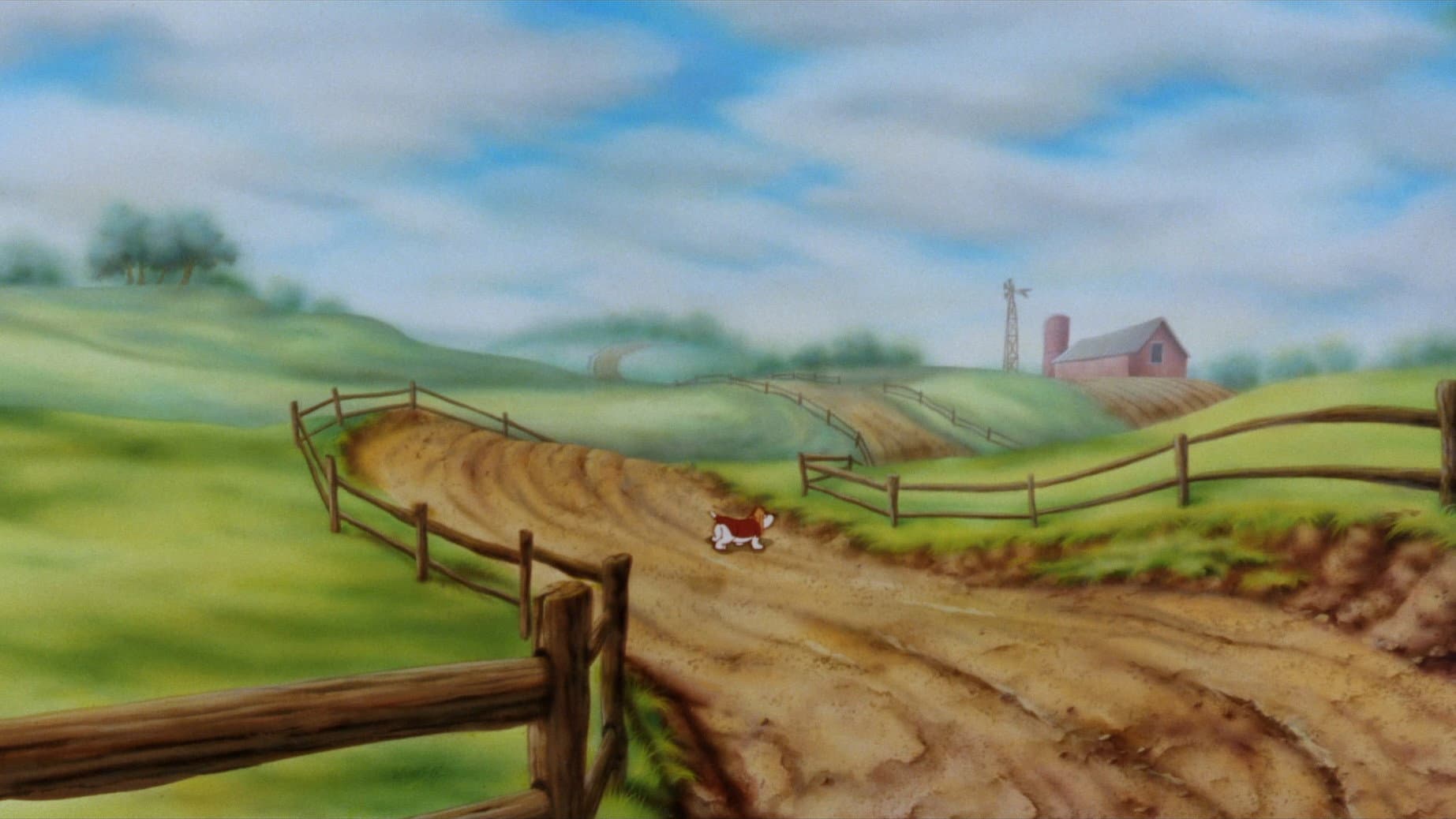 Rover e Daisy - immagine