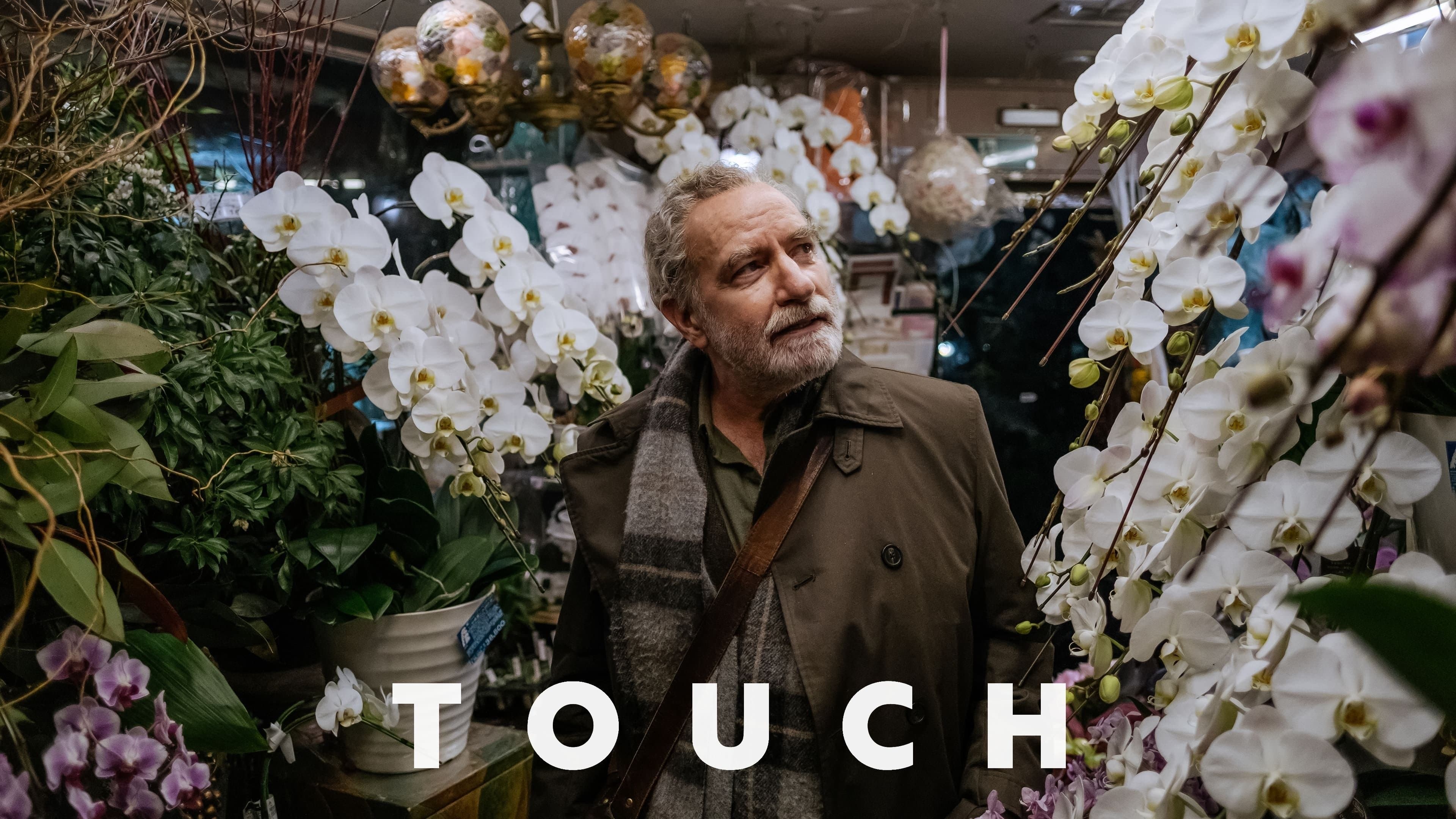 Touch - immagine