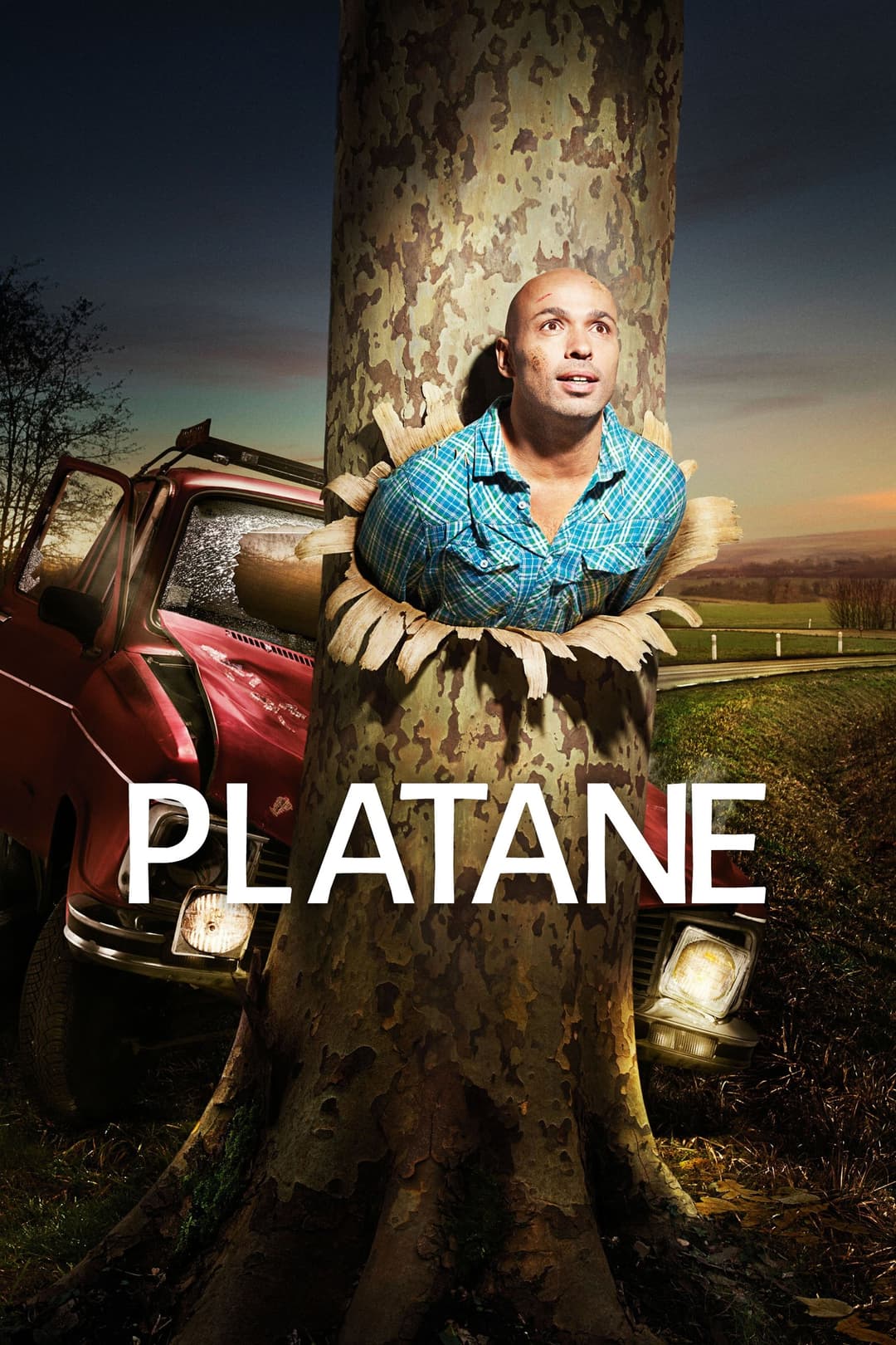 Poster di Platane