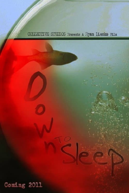 Poster di Down to Sleep