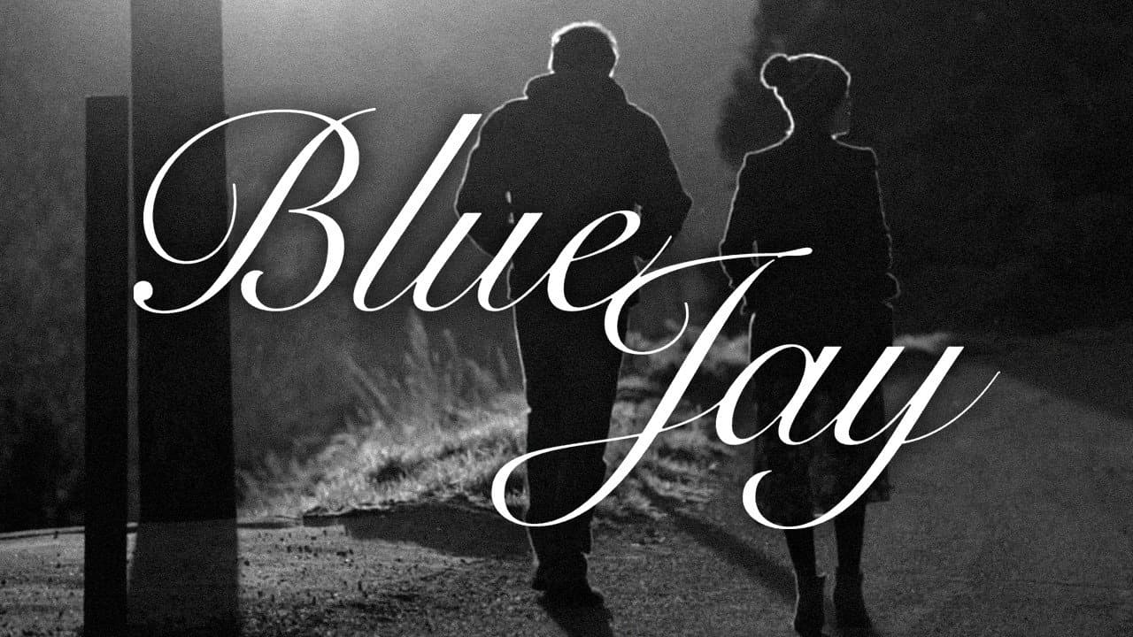 Blue Jay - immagine