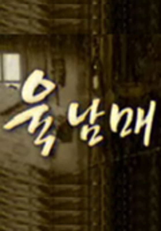 Poster di 육남매