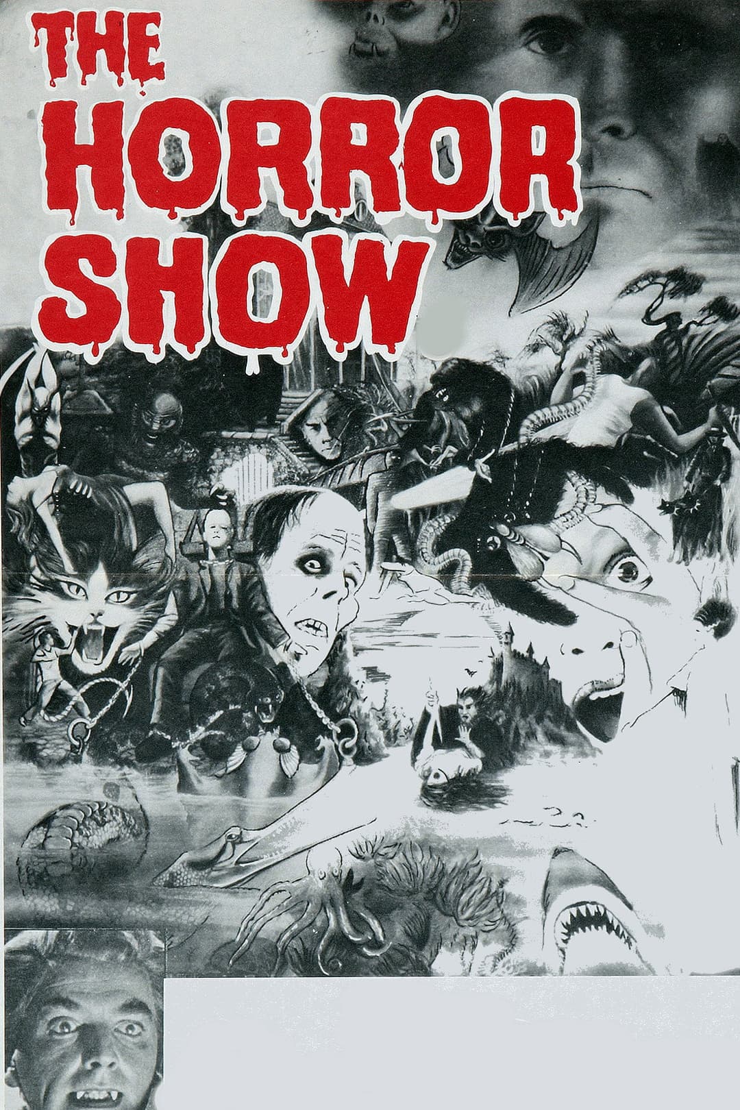 Poster di The Horror Show