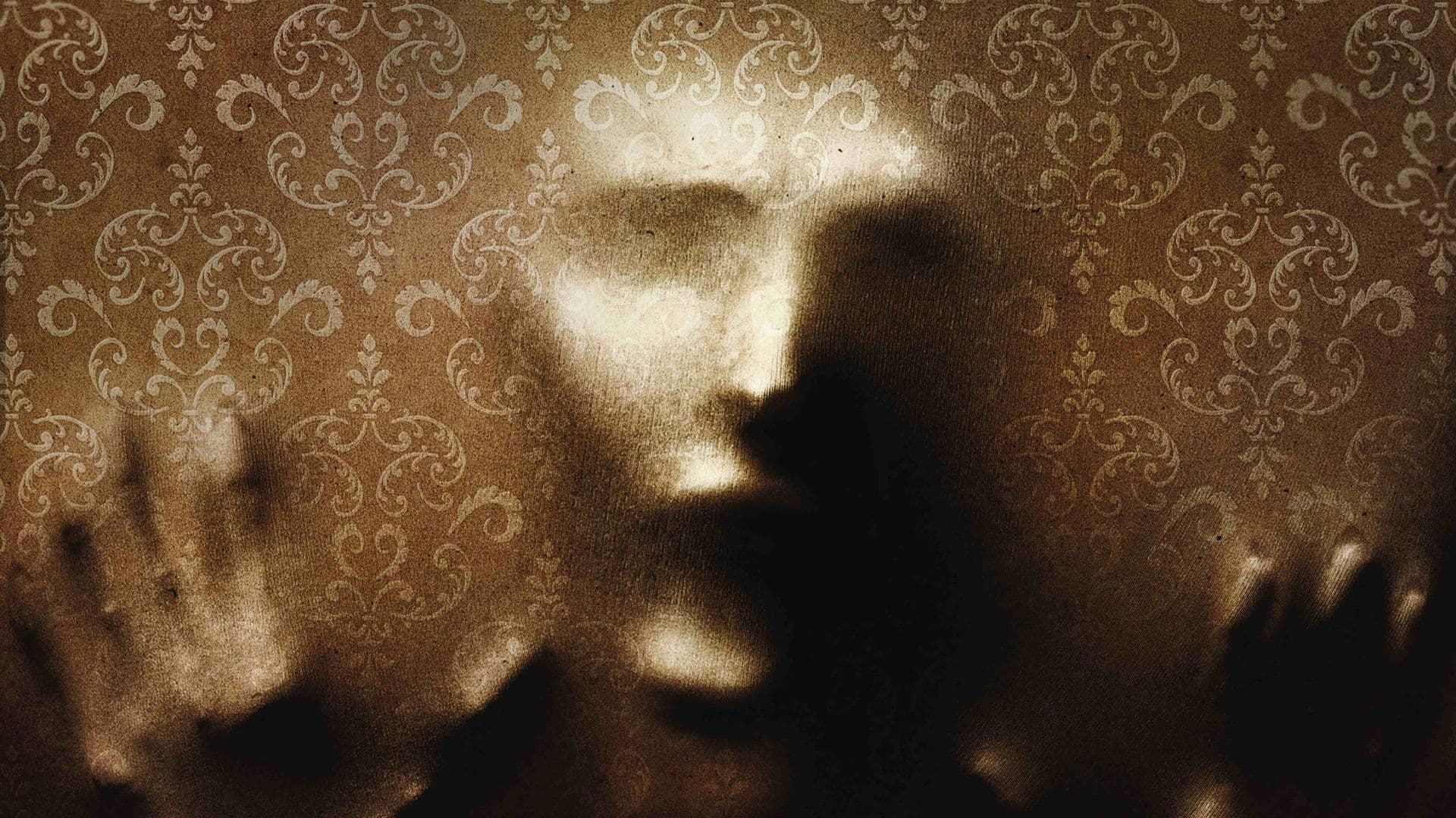 The Pact - immagine