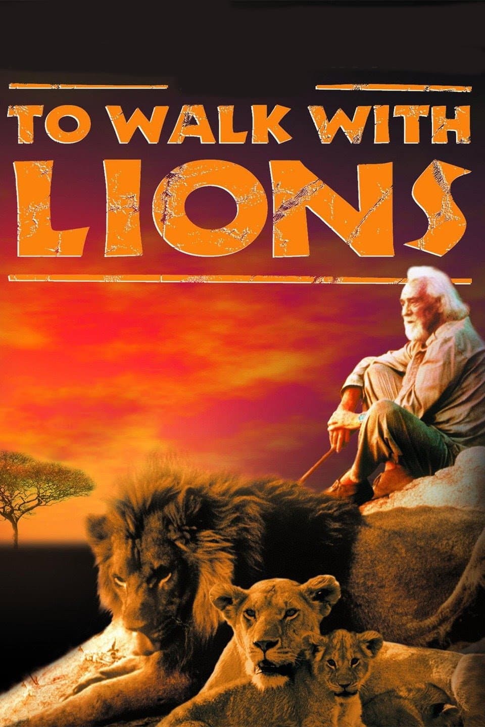 Poster di To Walk with Lions