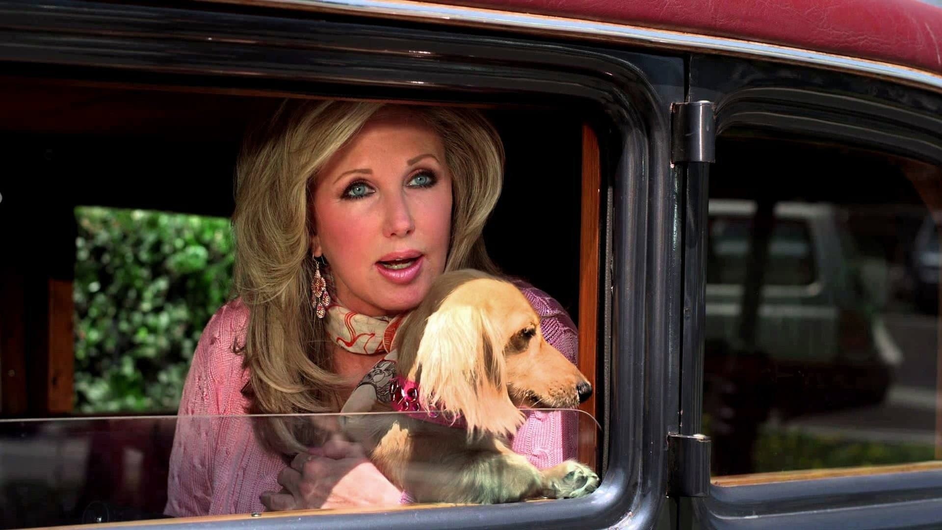 Wiener Dog Internationals - immagine