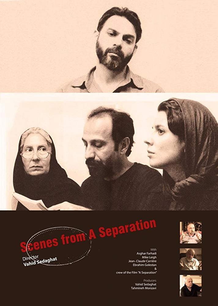 Poster di صحنه هایی از یک جدایی