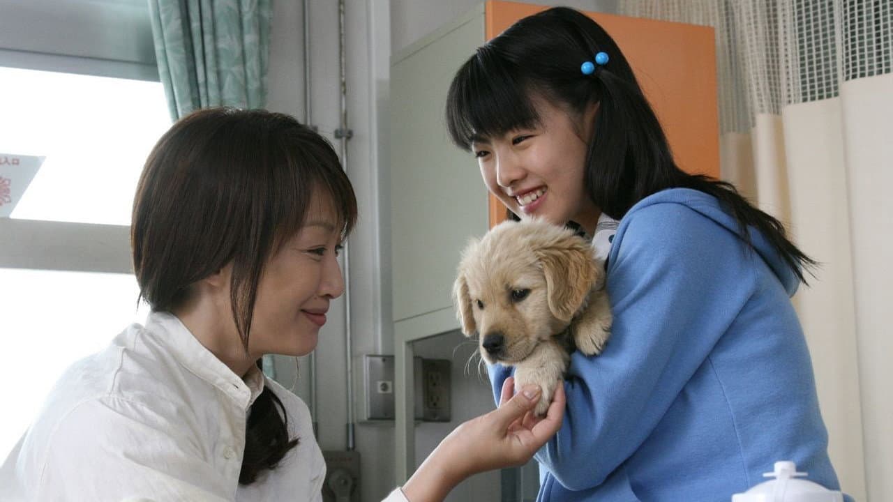 10 Promises to My Dog - immagine