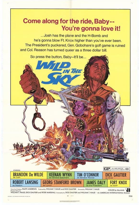 Poster di Wild in the Sky