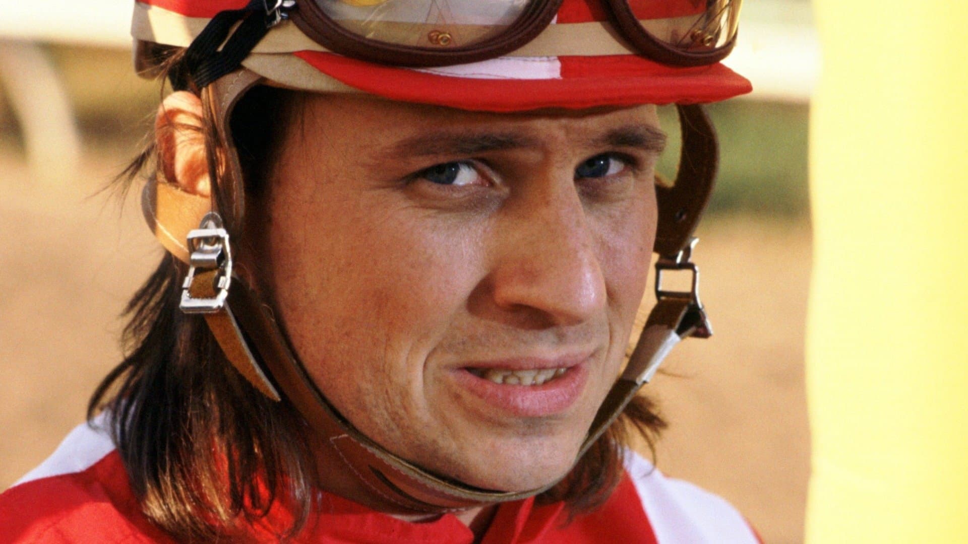 Don, un cavallo per amico - immagine