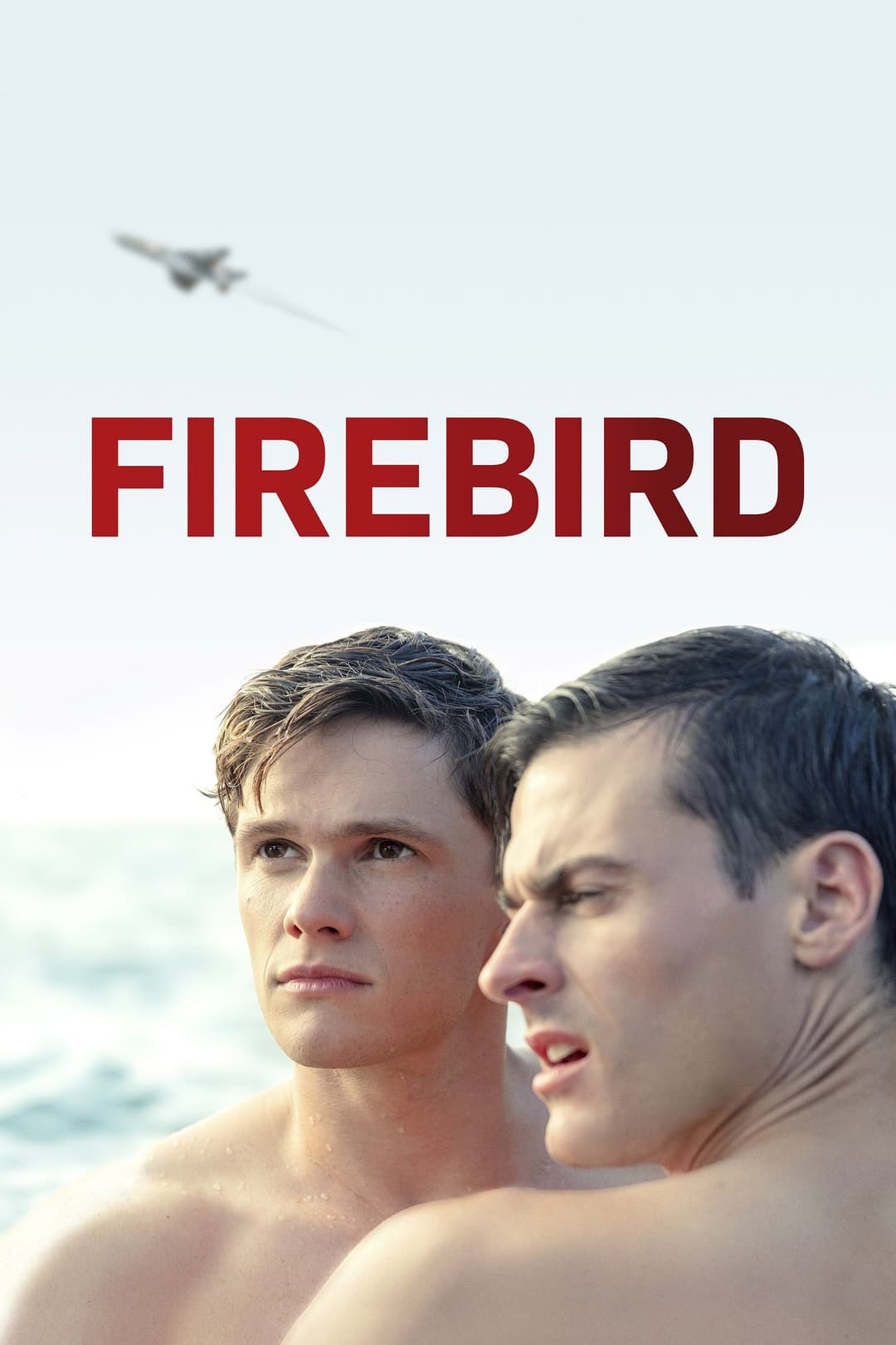 Poster di Firebird