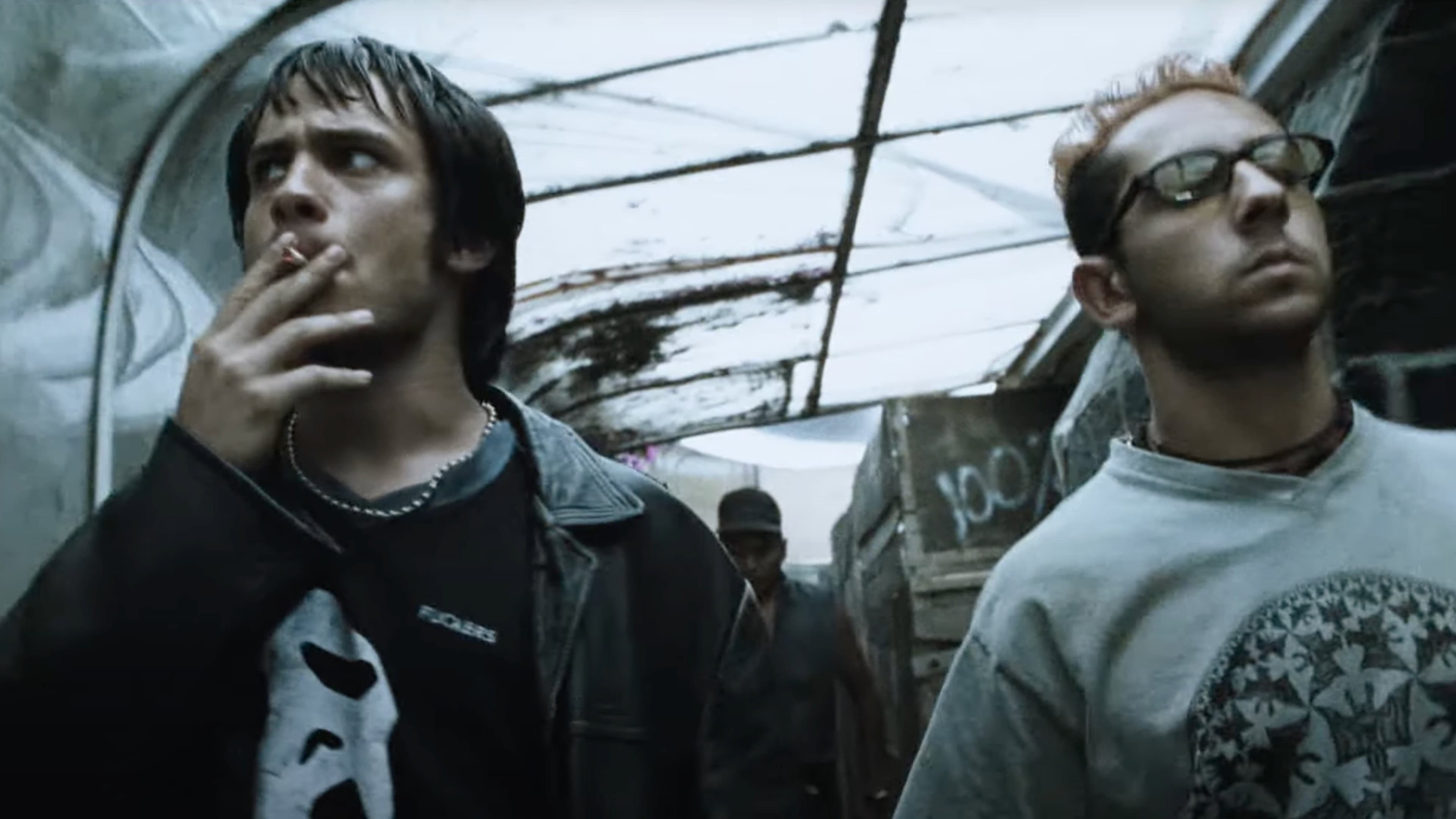Amores perros - immagine