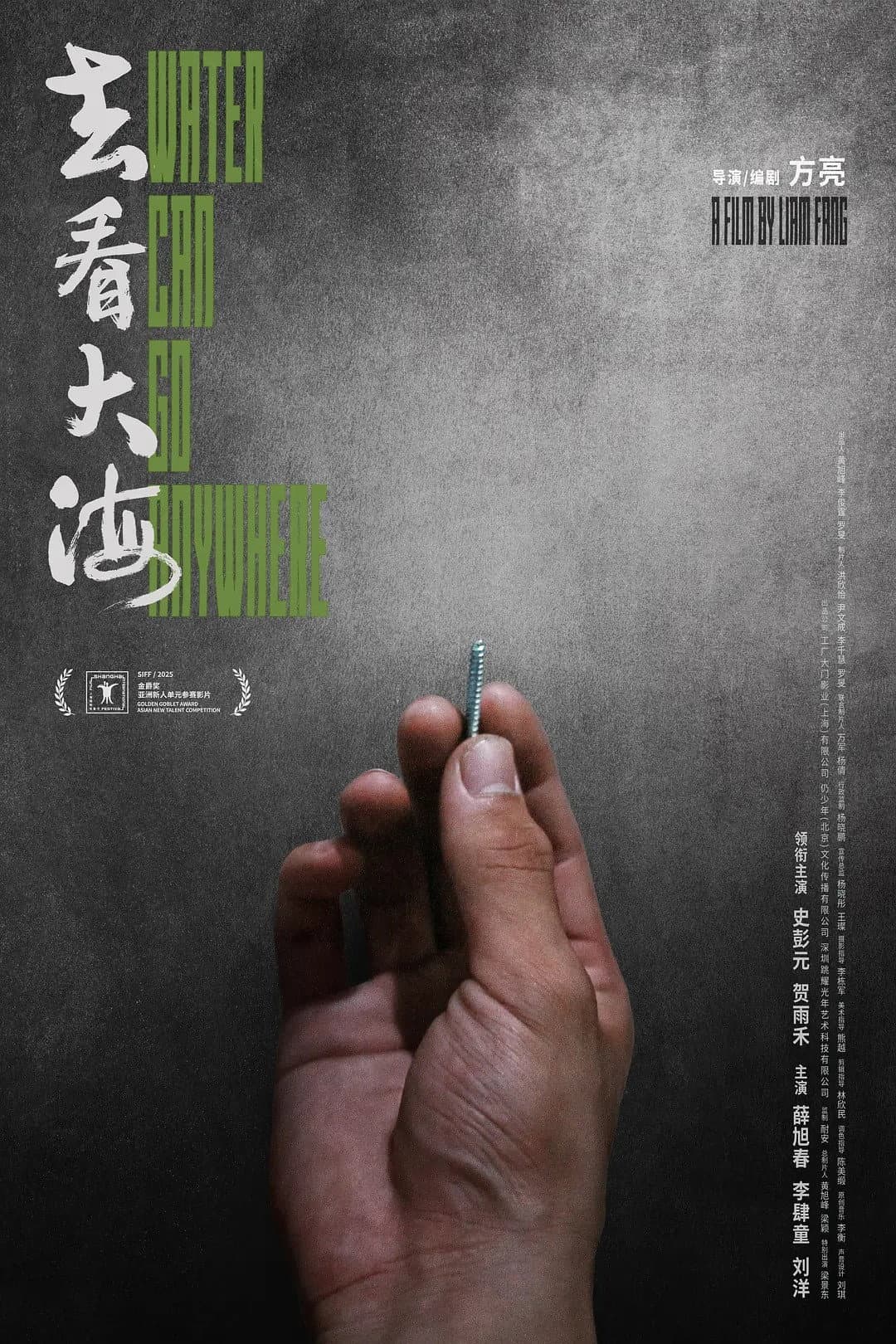 Poster di 去看大海