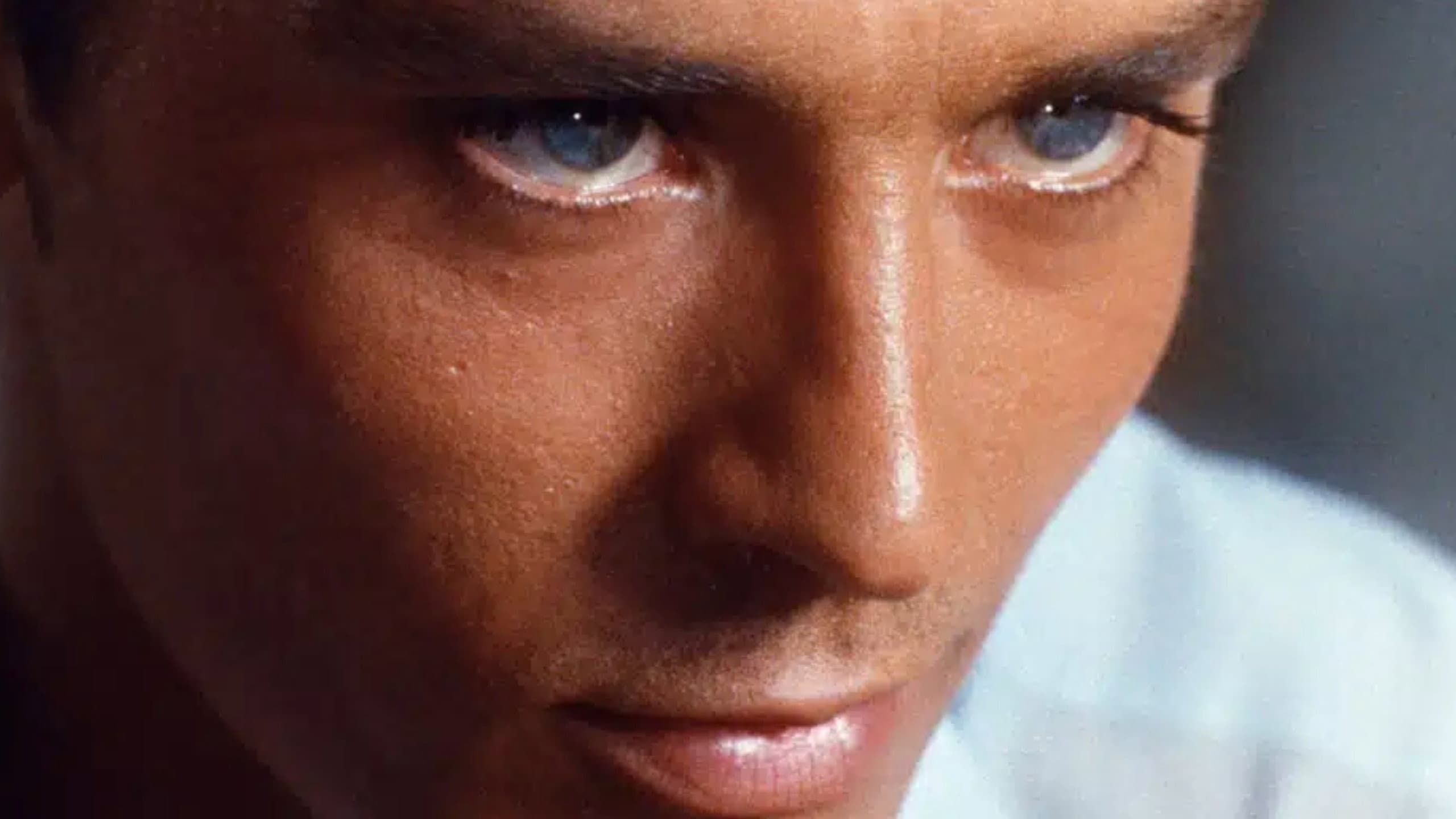 Alain Delon, la solitude d'un fauve - immagine