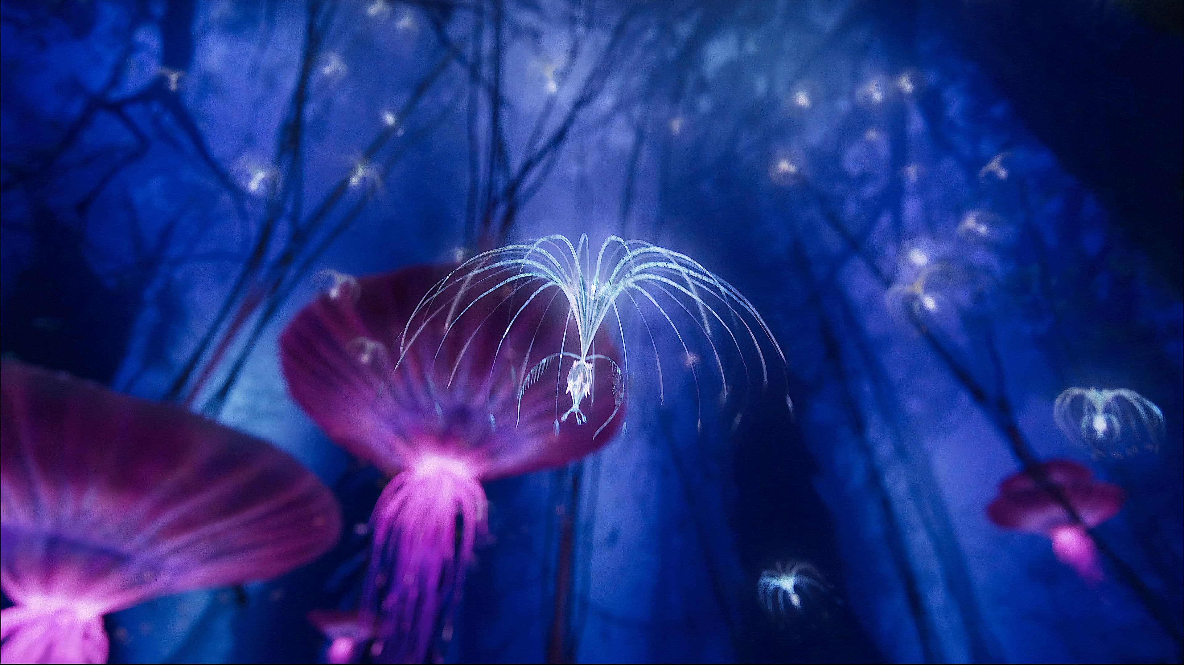 Avatar: Creating the World of Pandora - immagine