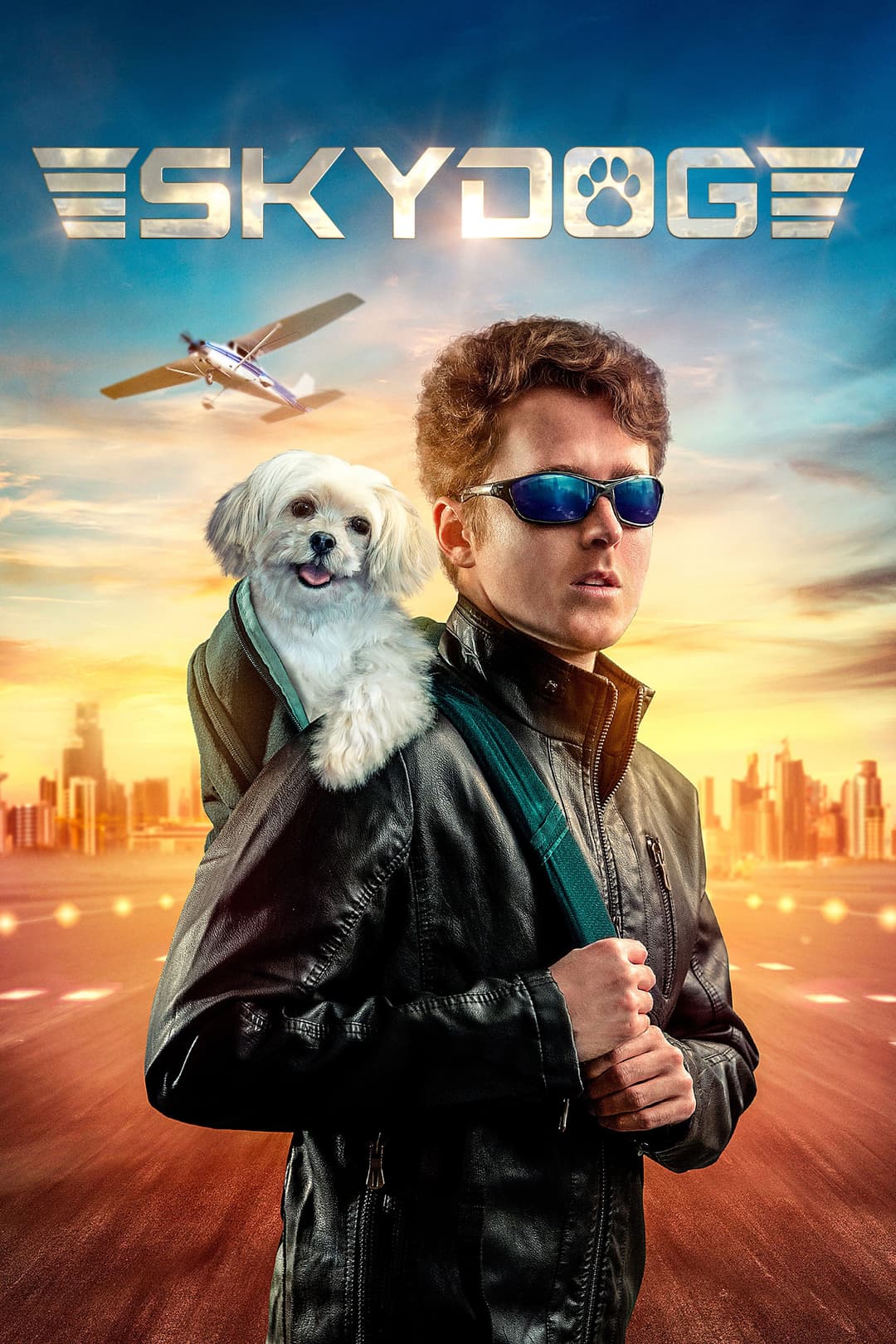 Poster di Skydog