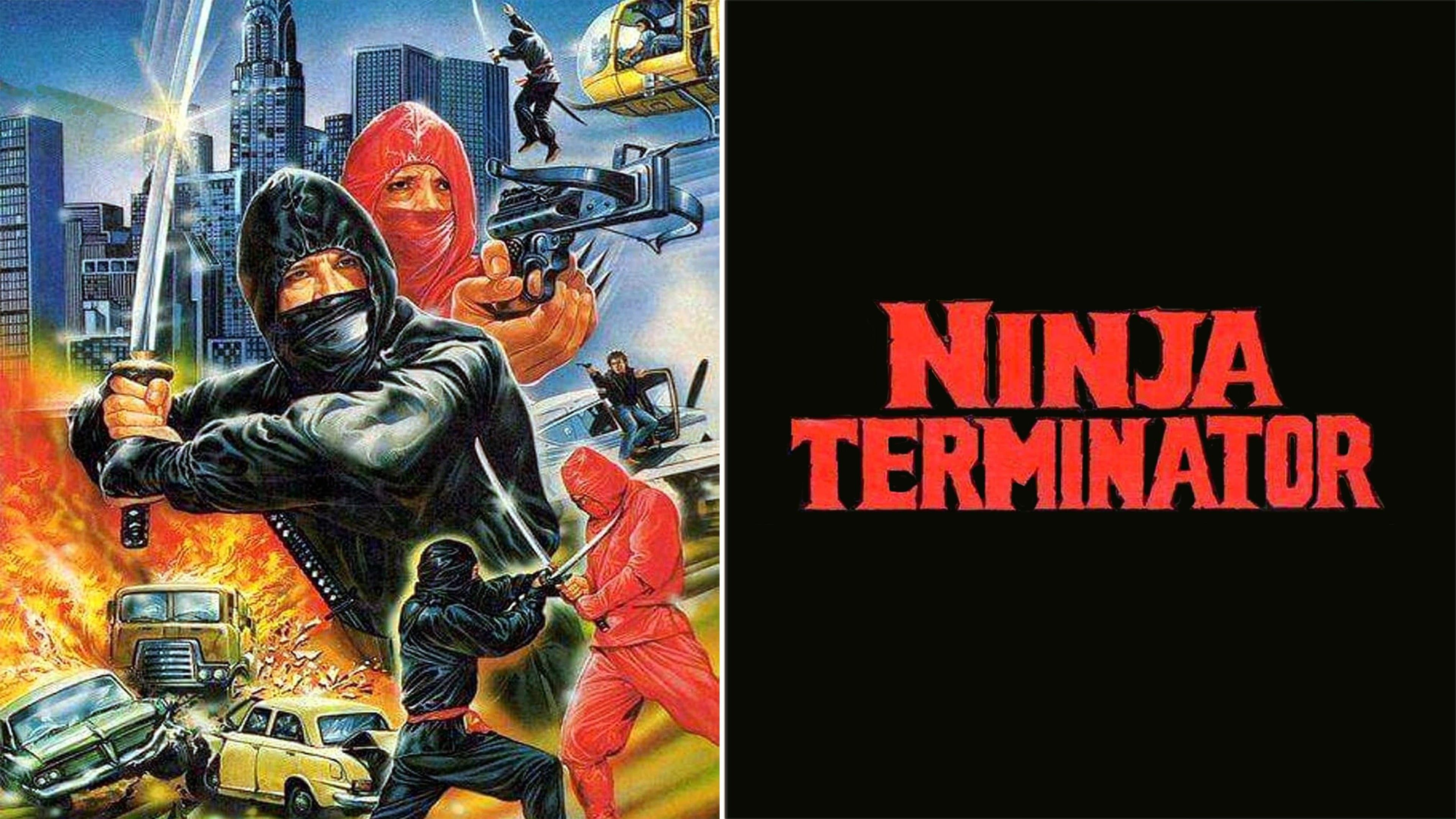 Ninja Terminator - immagine