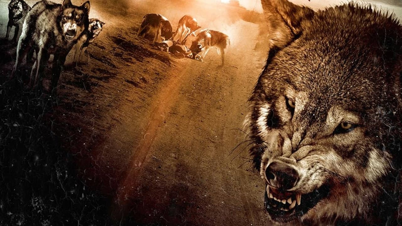 Wolf Town - immagine