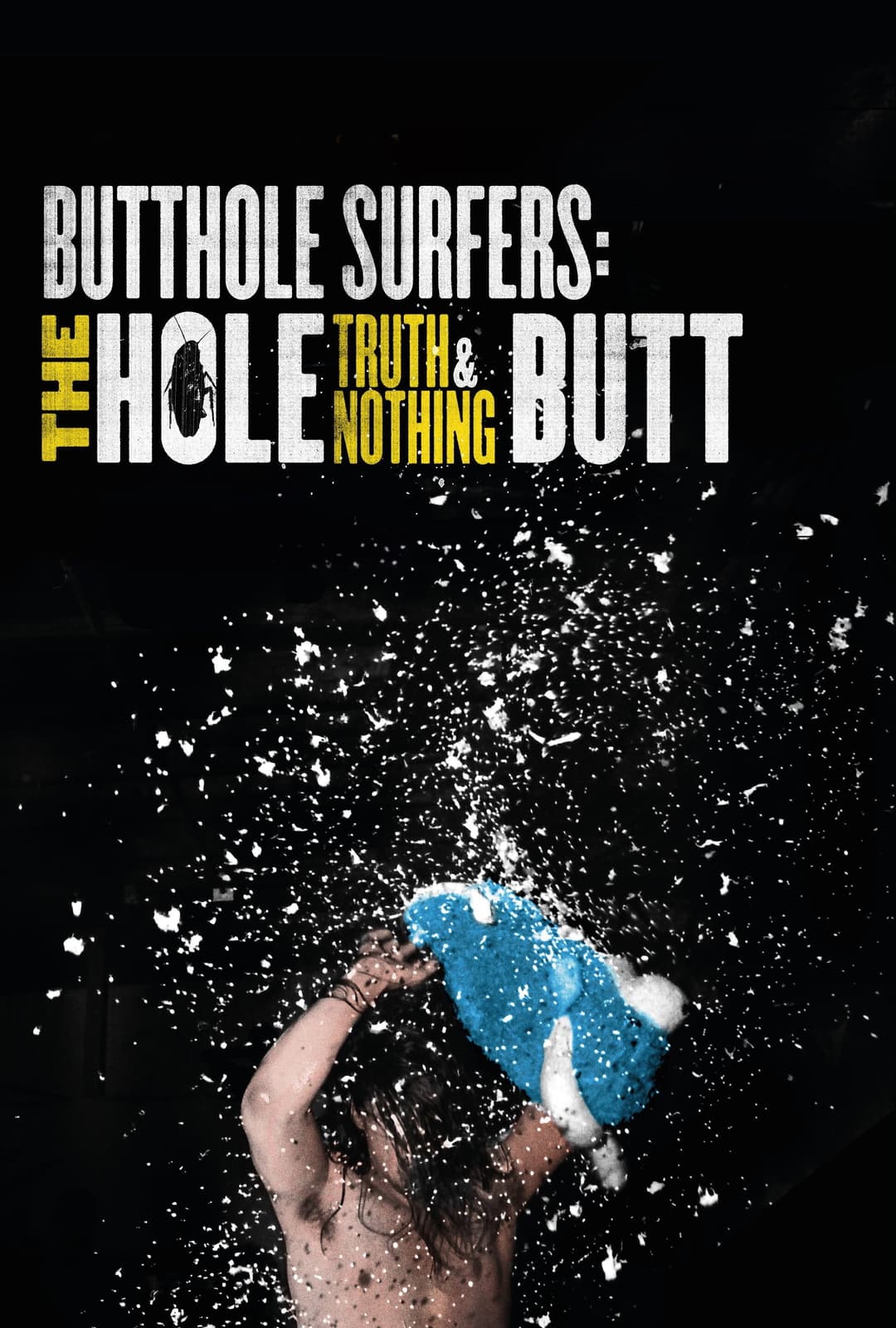 Poster di Butthole Surfers: The Hole Truth and Nothing Butt