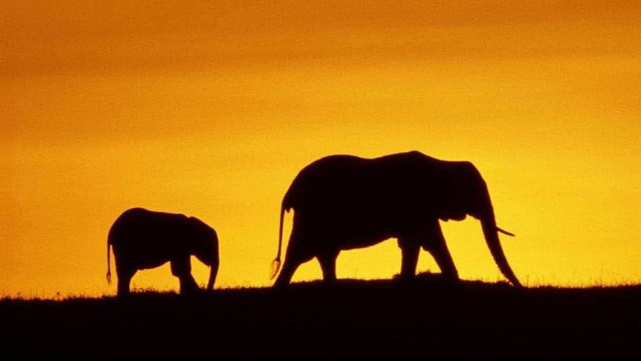 Earth - La nostra terra - immagine