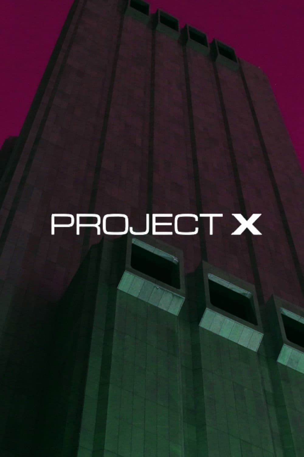 Poster di Project X
