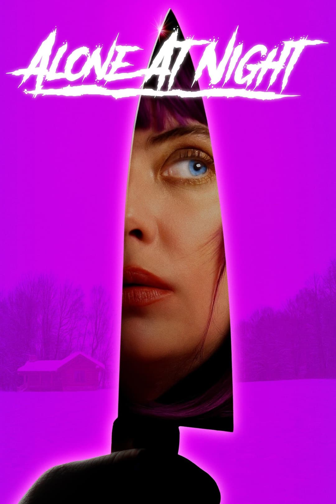 Poster di Alone at Night