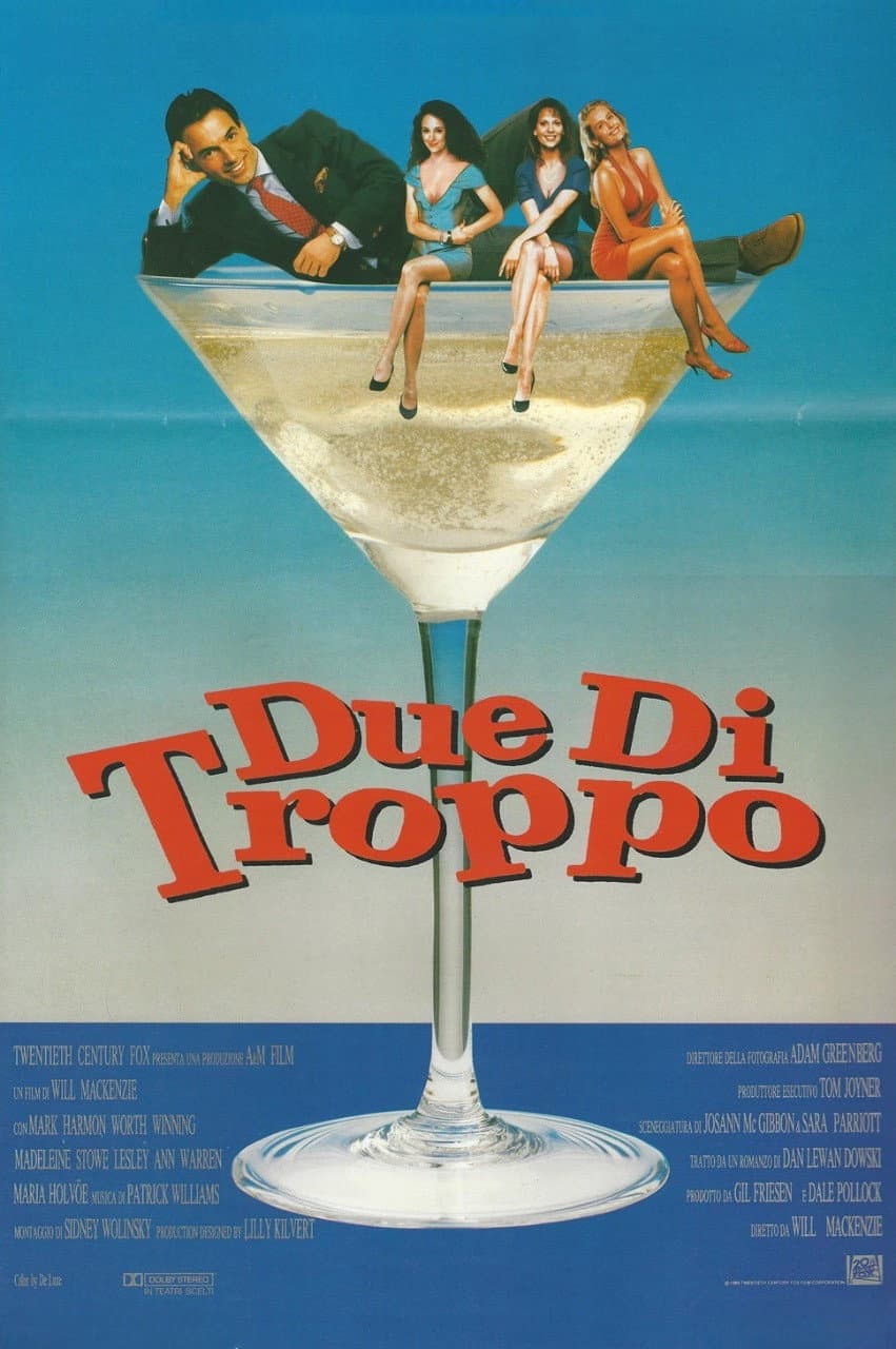Poster di Due di troppo
