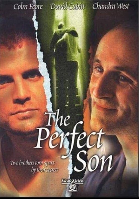 Poster di The Perfect Son
