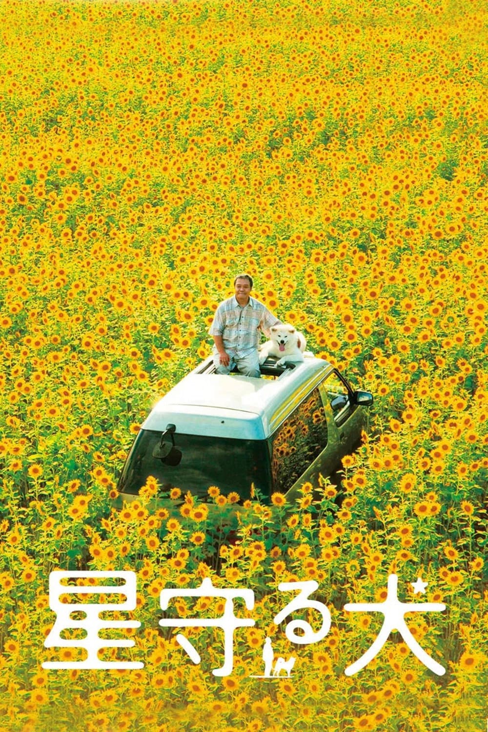 Poster di 星守る犬