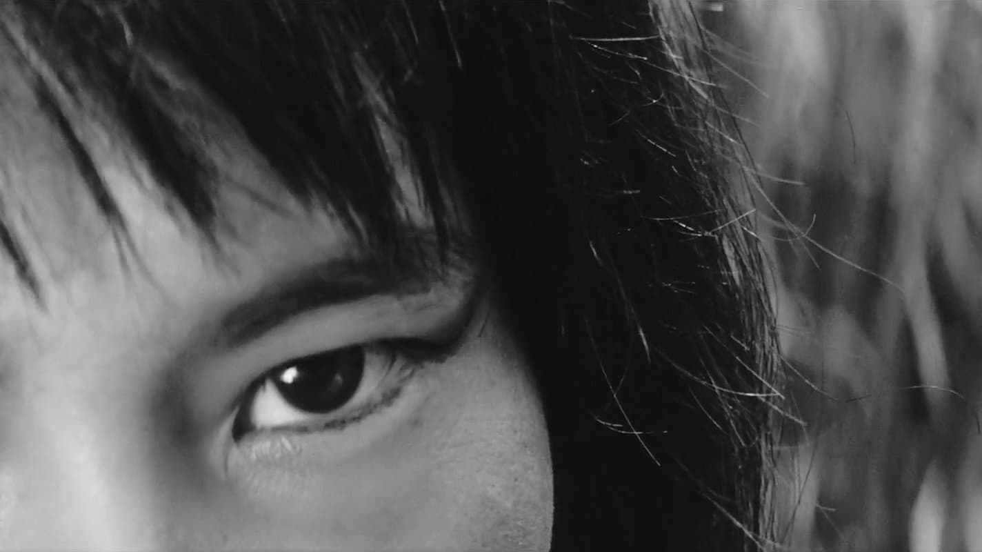 Onibaba - Le assassine - immagine