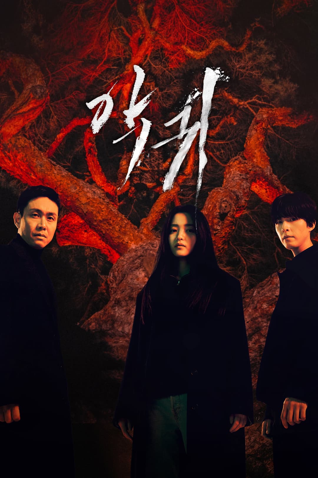 Poster di Revenant