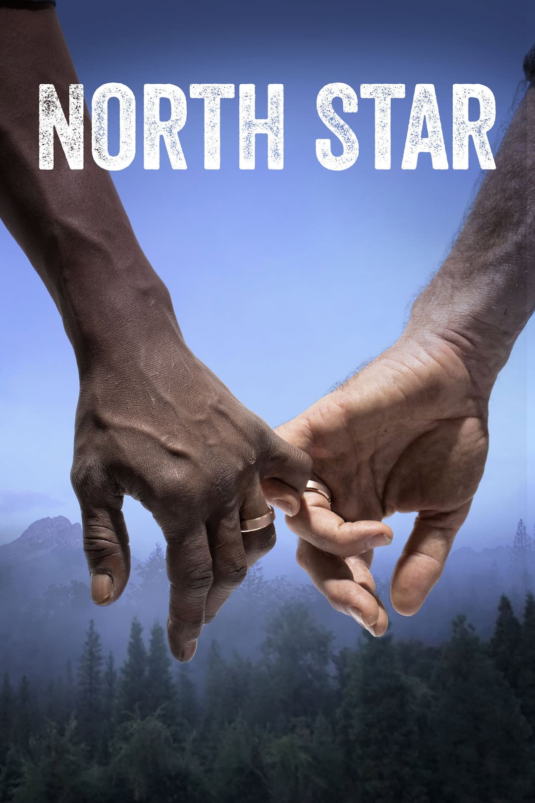 Poster di North Star