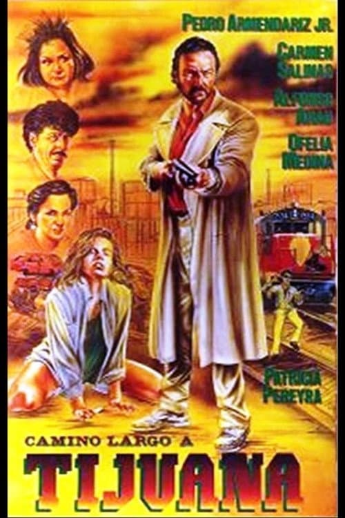 Poster di Camino largo a Tijuana
