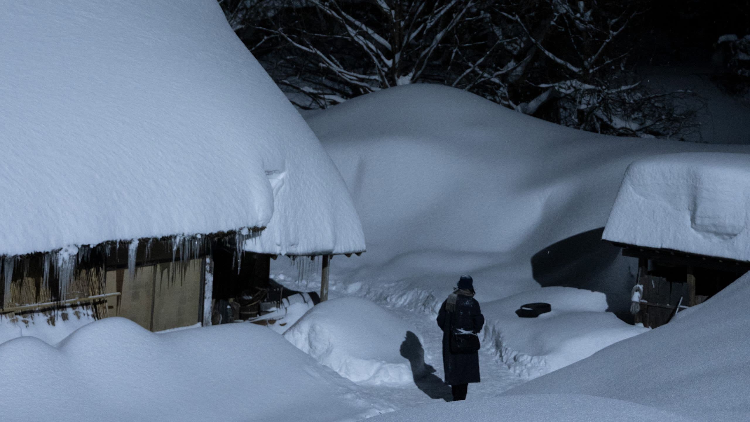 Two Seasons, Two Strangers - immagine