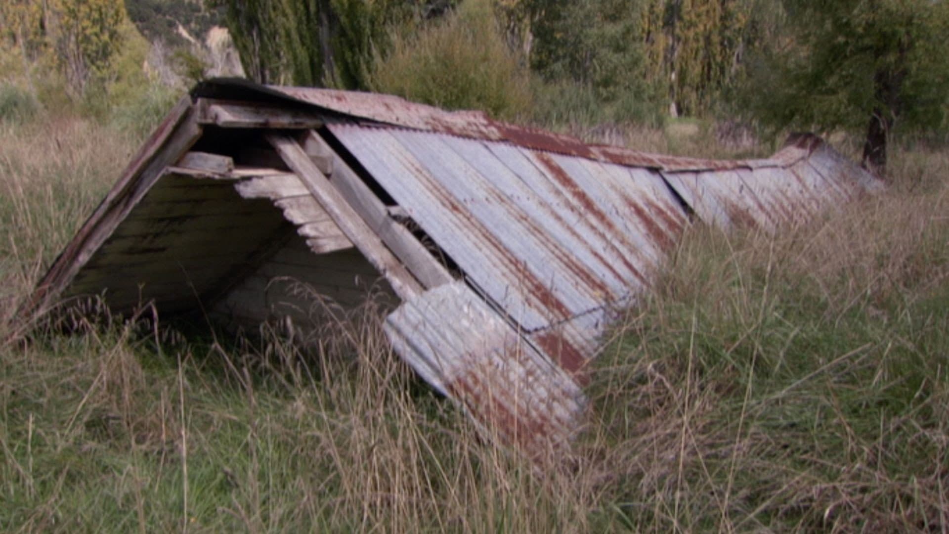 Saving Grace - Te Whakarauora Tangata - immagine