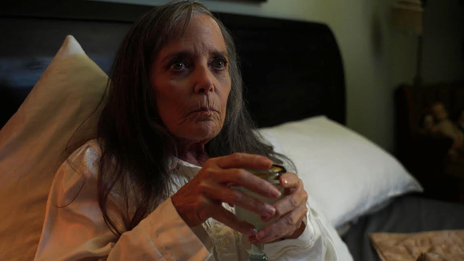 Night of the Caregiver - immagine