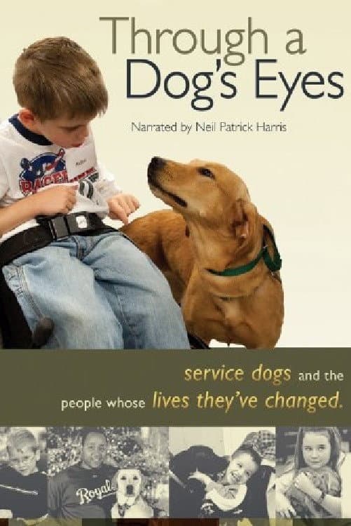 Poster di Through a Dog's Eyes