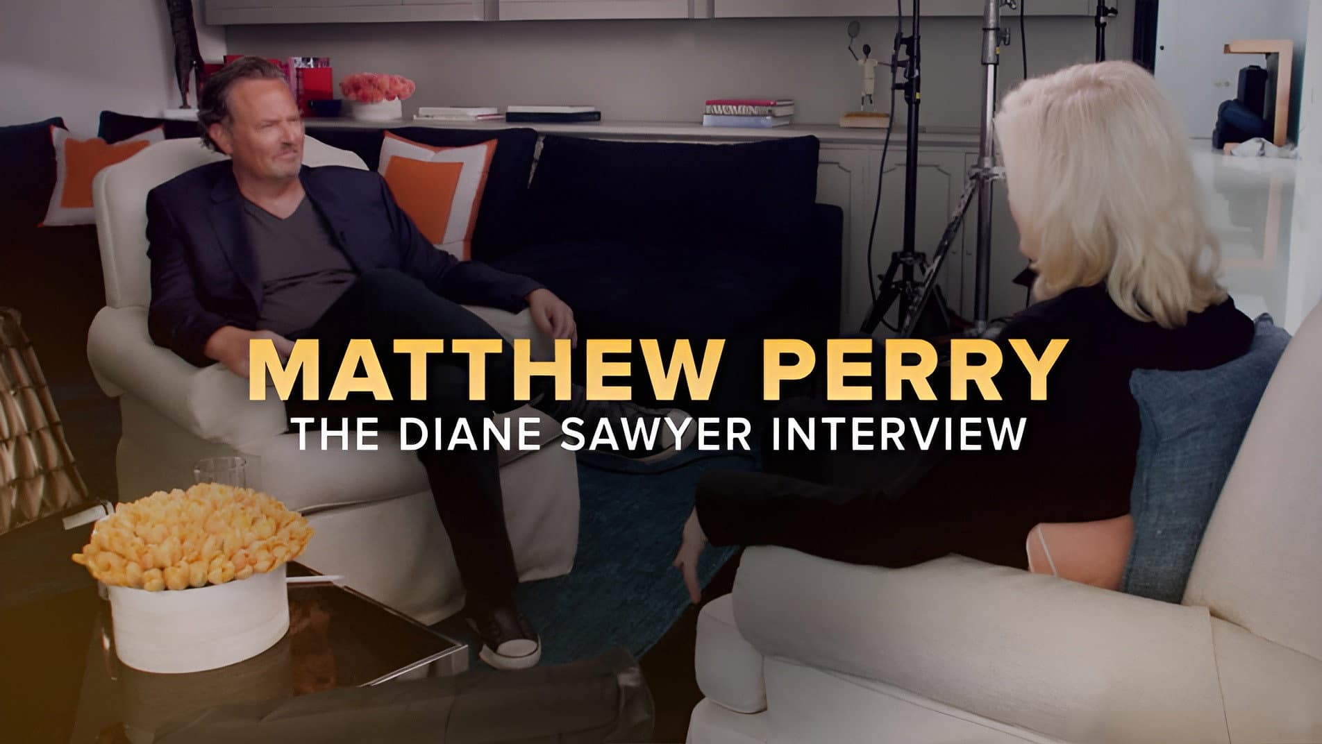 Matthew Perry: The Diane Sawyer Interview - immagine