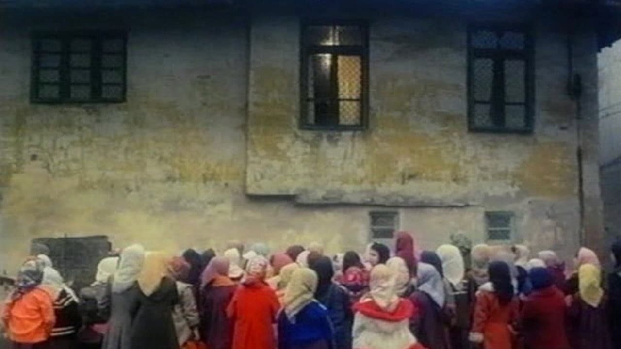 Il coro - immagine