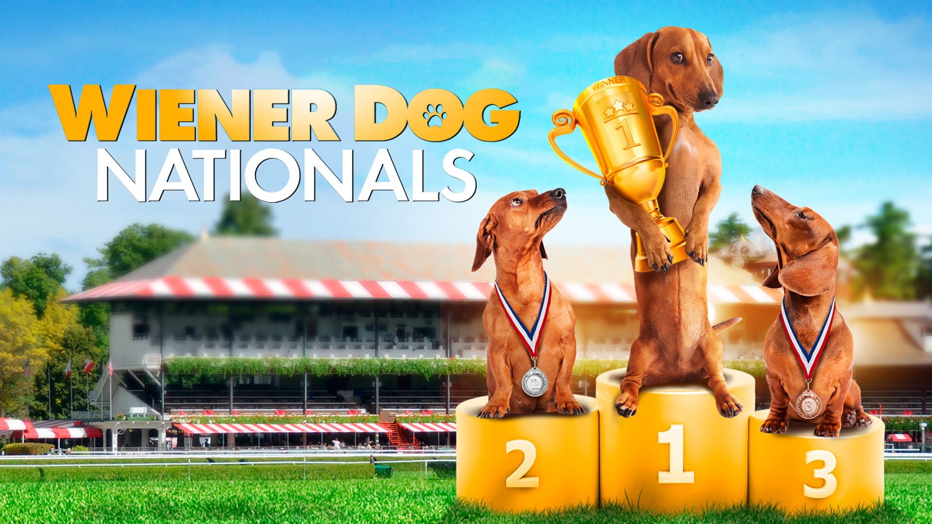 Wiener Dog Nationals - immagine