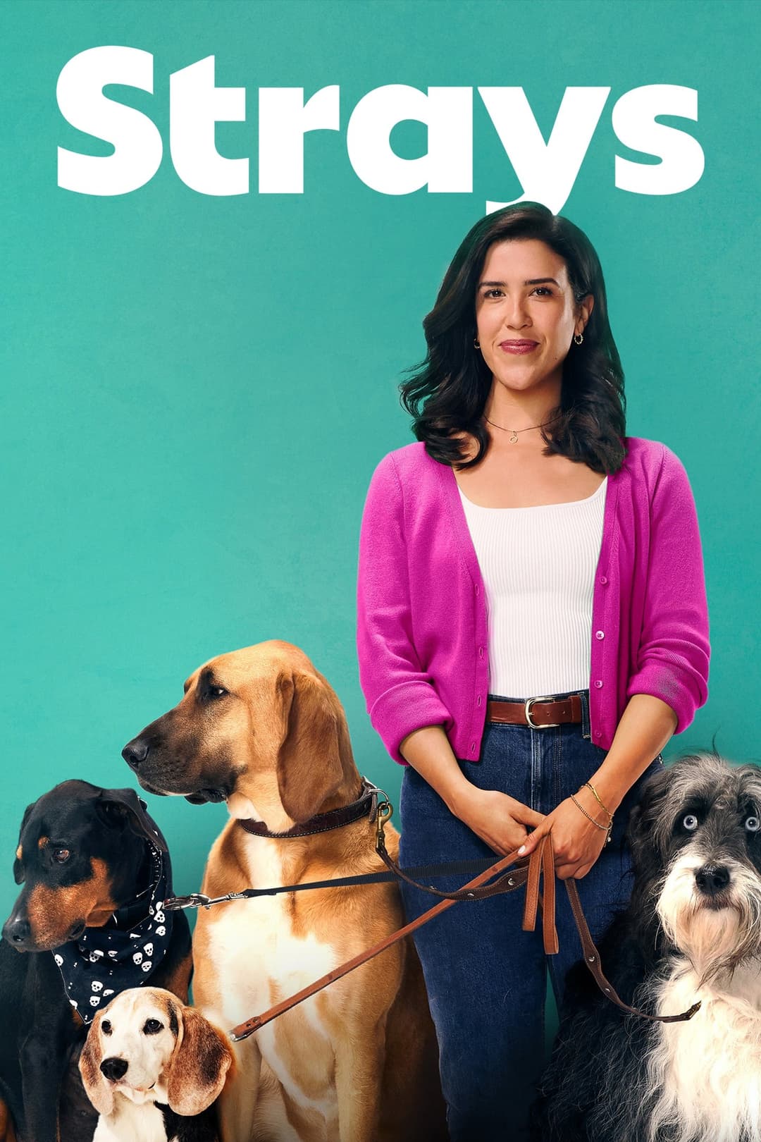 Poster di Strays