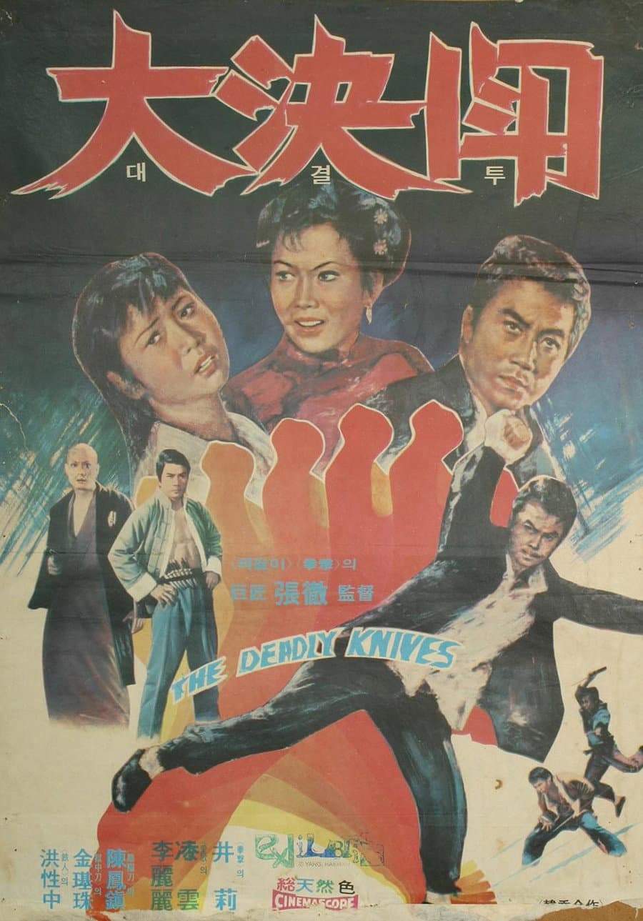 Poster di 대결투