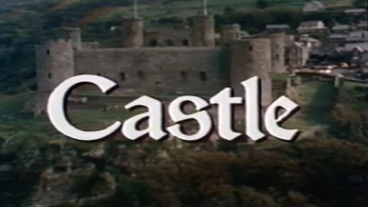 David Macaulay: Castle - immagine