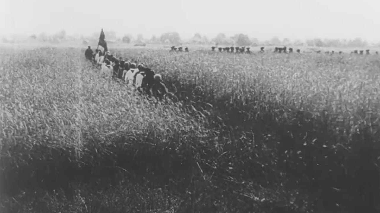 Il cineocchio - immagine
