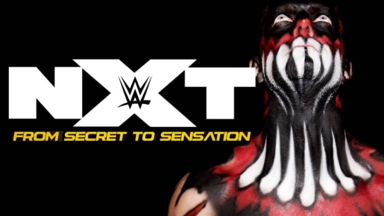 NXT: From Secret To Sensation - immagine