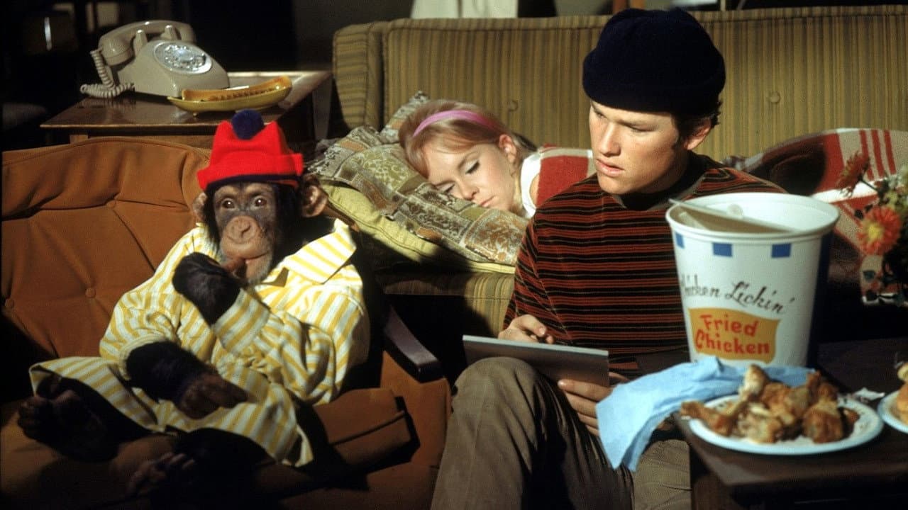 La Tv ha i suoi primati - immagine