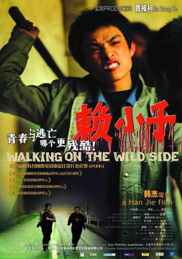 Poster di 赖小子