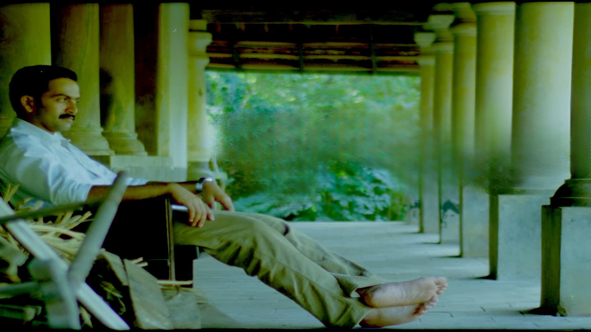 മഞ്ചാടിക്കുരു - immagine