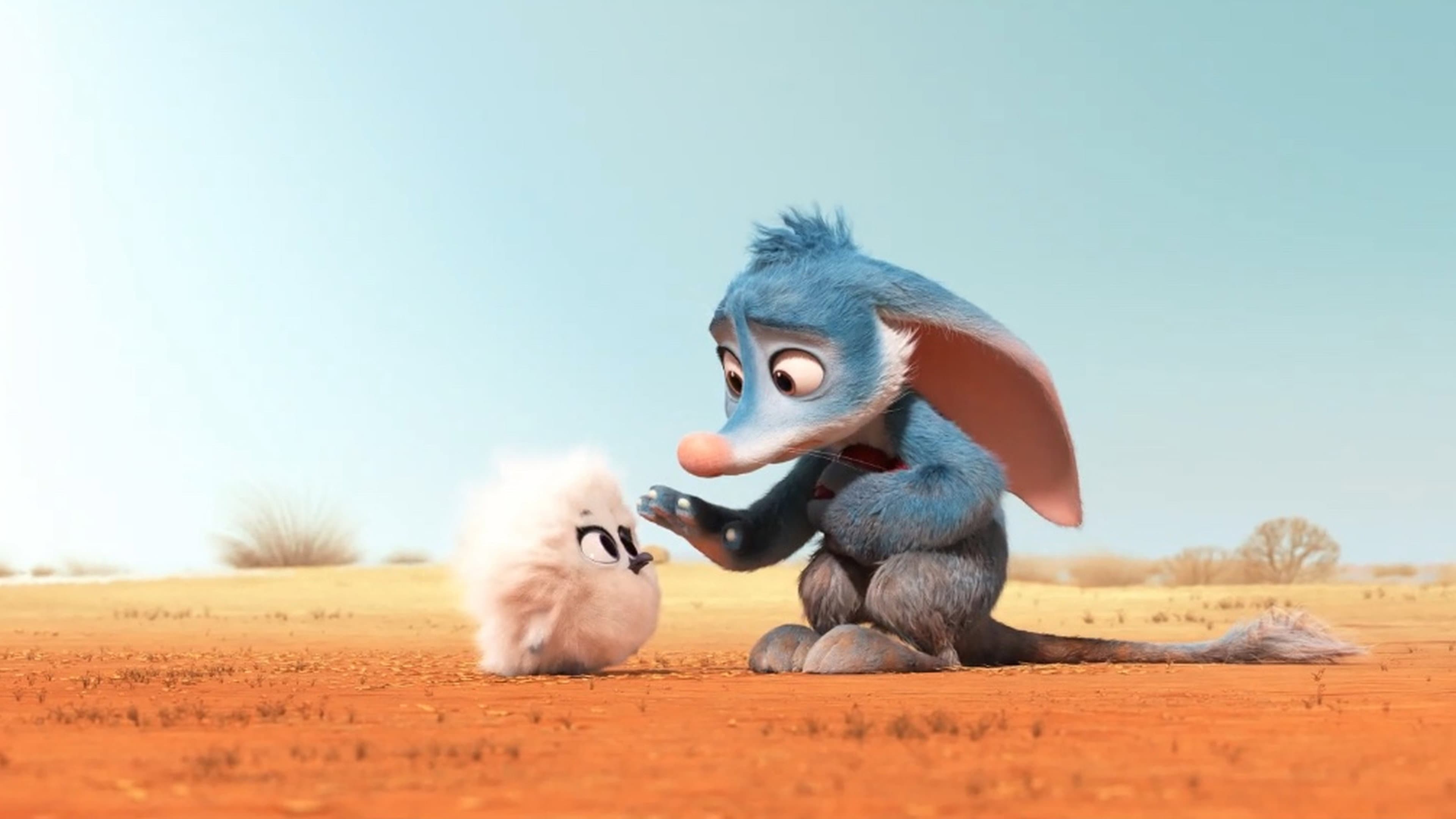 Bilby - immagine